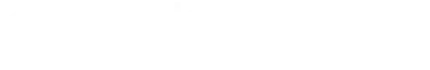 Logo-DeveloPress-Studio_color_white